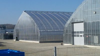 Plastic and polycarbonate Greenhouses