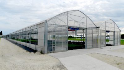 Multispan greenhouses