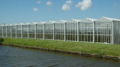 VENLO greenhouses