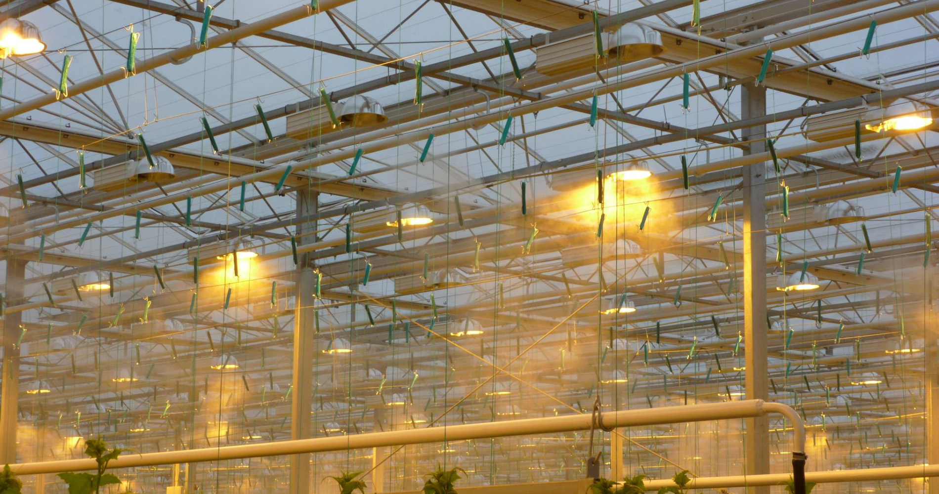 High pressure misting system for greenhouses