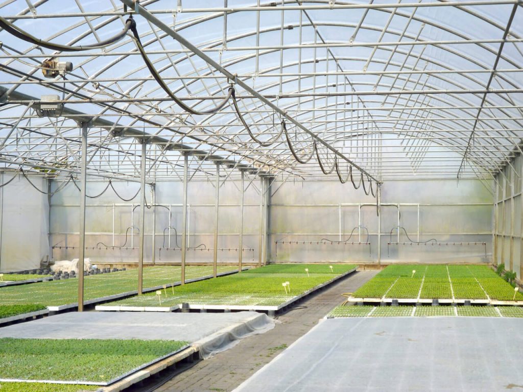 Greenhouse watering boom SA