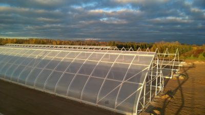 Construction and sale of greenhouses