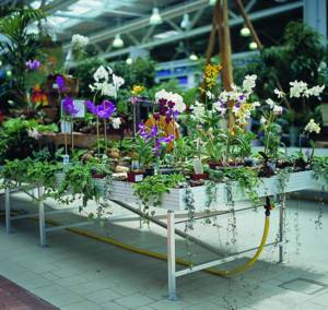 Read more about the article Growing benches