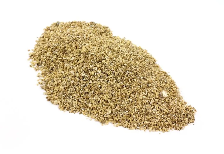 Read more about the article Vermiculite