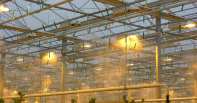 High pressure misting system for greenhouses